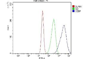Flow Cytometry analysis of CACO-2 cells using anti-CEBP Alpha/CEBPA antibody (ABIN7599996).
