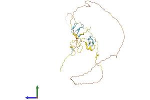 AlphaFold protein structure predicition of Human Recombinant ZRANB2 Protein, UniprotID O95218