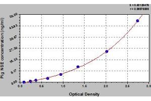 Typical Standard Curve (ENO2/NSE Kit ELISA)