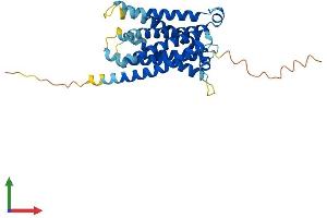AlphaFold protein structure predicition of Human Recombinant MRGPRX1 Protein, UniprotID Q96LB2