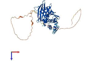 AlphaFold protein structure predicition of Human Recombinant PTPN20 Protein, UniprotID Q4JDL3