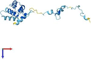 AlphaFold protein structure predicition of Human Recombinant TPPP2 Protein, UniprotID P59282