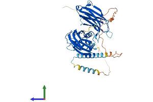 AlphaFold protein structure predicition of Human Recombinant SYT1 Protein, UniprotID P21579