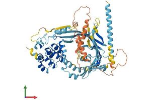 AlphaFold protein structure predicition of Mouse Recombinant Ankrd13a Protein, UniprotID Q80UP5