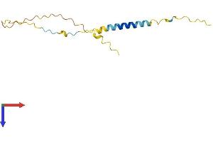 AlphaFold protein structure predicition of Human Recombinant BEX4 Protein, UniprotID Q9NWD9