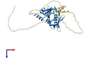 AlphaFold protein structure predicition of Human Recombinant BNIPL Protein, UniprotID Q7Z465