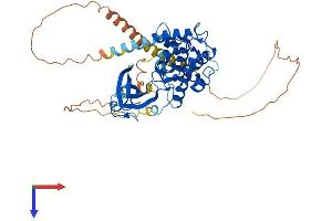 AlphaFold protein structure predicition of Mouse Recombinant Camk4 Protein, UniprotID P08414