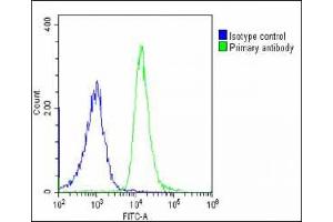 Overlay histogram showing U-2 OS cells stained with (ABIN6242176 and ABIN6578889)(green line).