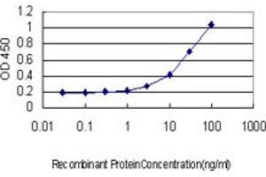Detection limit for recombinant GST tagged FBXL3 is approximately 1ng/ml as a capture antibody. (FBXL3 anticorps  (AA 1-100))