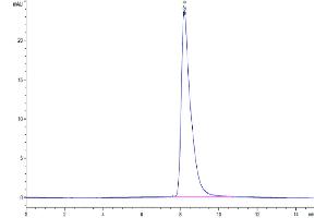 The purity of Mouse CD228 is greater than 95 % as determined by SEC-HPLC.