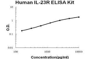 Human IL-23R PicoKine ELISA Kit standard curve (IL23R Kit ELISA)