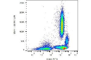 Surface staining of human peripheral blood with anti-human CD44 (MEM-85) FITC.