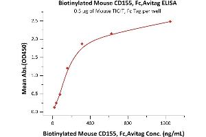Immobilized Mouse TIGIT, Fc Tag (ABIN2870762,ABIN2870763) at 5 μg/mL (100 μL/well) can bind Biotinylated Mouse CD155, Fc,Avitag (ABIN5954904,ABIN6253647) with a linear range of 20-313 ng/mL (QC tested).