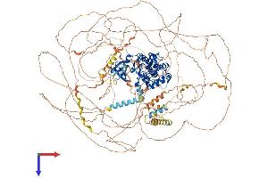 AlphaFold protein structure predicition of Mouse Recombinant Cdk12 Protein, UniprotID Q14AX6