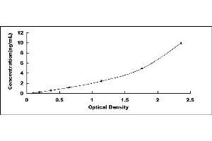 Typical standard curve