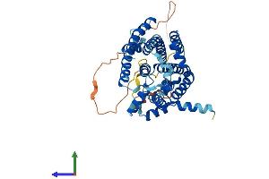 AlphaFold protein structure predicition of Human Recombinant SGPP1 Protein, UniprotID Q9BX95