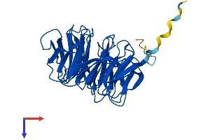 AlphaFold protein structure predicition of Human Recombinant WDR83 Protein, UniprotID Q9BRX9
