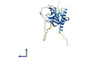 AlphaFold protein structure predicition of Human Recombinant OIP5 Protein, UniprotID O43482