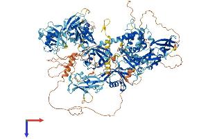 AlphaFold protein structure predicition of Mouse Recombinant Usp47 Protein, UniprotID Q8BY87