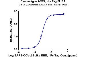 Immobilized Cynomolgus ACE2, His Tag at 5 μg/mL (100 μL/well) on the plate.
