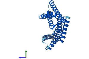 AlphaFold protein structure predicition of Mouse Recombinant Ywhaq Protein, UniprotID P68254