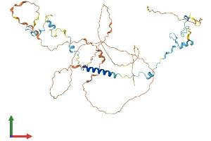 AlphaFold protein structure predicition of Mouse Recombinant Spag8 Protein, UniprotID Q3V0Q6
