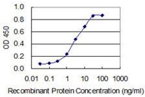 Detection limit for recombinant GST tagged PPP1R8 is 0. (PPP1R8 anticorps  (AA 1-209))
