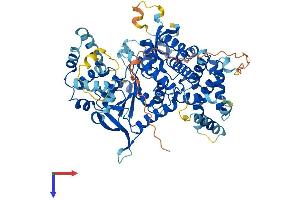 AlphaFold protein structure predicition of Mouse Recombinant Aste1 Protein, UniprotID Q8BIR2