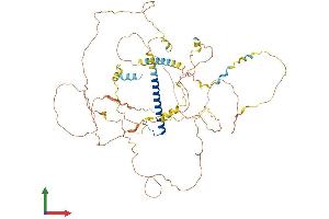 AlphaFold protein structure predicition of Human Recombinant CRTC1 Protein, UniprotID Q6UUV9
