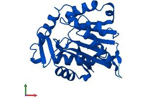 AlphaFold protein structure predicition of Mouse Recombinant Ntmt1 Protein, UniprotID Q8R2U4