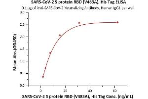 Immobilized Anti-SARS-CoV-2 Neutralizing Antibody, Human IgG1 (Cat.