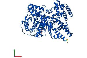 AlphaFold protein structure predicition of Mouse Recombinant Crot Protein, UniprotID Q9DC50