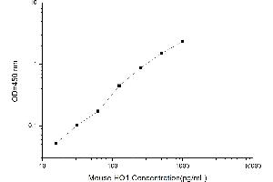 Typical standard curve (HMOX1 Kit ELISA)