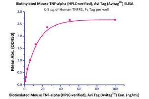 Immobilized Human TNFR1, Fc Tag  with a linear range of 0.