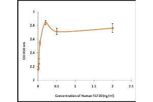 Activity Assay (AcA) image for Fibroblast Growth Factor 20 (FGF20) (Active) protein (ABIN5509482) (FGF20 Protéine)