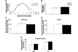 FoxP3+ regulatory T cells are not required for rotavirus clearance or rotavirus specific antibody production.