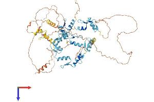 AlphaFold protein structure predicition of Human Recombinant ZNF770 Protein, UniprotID Q6IQ21