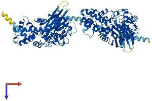 AlphaFold protein structure predicition of Human Recombinant HKDC1 Protein, UniprotID Q2TB90