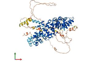 AlphaFold protein structure predicition of Mouse Recombinant Pkp1 Protein, UniprotID P97350