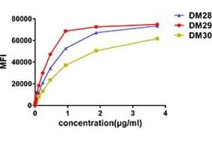 Affinity ranking of different Rabbit anti-CD38 mAb clones by titration of different concentration onto Raji cells.