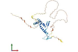AlphaFold protein structure predicition of Human Recombinant SPRY4 Protein, UniprotID Q9C004