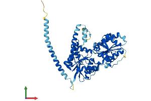 AlphaFold protein structure predicition of Mouse Recombinant Alg11 Protein, UniprotID Q3TZM9