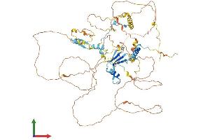 AlphaFold protein structure predicition of Mouse Recombinant Tprn Protein, UniprotID A2AI08