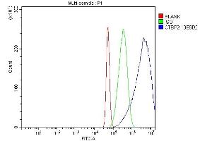 Flow Cytometry analysis of A431 cells using anti-CTBP2 antibody (ABIN7601325). (CTBP2 anticorps  (AA 321-445))