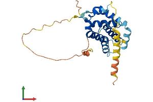 AlphaFold protein structure predicition of Human Recombinant BCL2 Protein, UniprotID P10415
