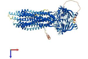 AlphaFold protein structure predicition of Mouse Recombinant Abcb1a Protein, UniprotID P21447