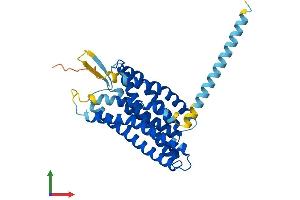 AlphaFold protein structure predicition of Mouse Recombinant Gpr65 Protein, UniprotID Q61038