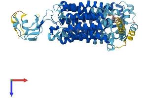 AlphaFold protein structure predicition of Mouse Recombinant Slc22a20 Protein, UniprotID Q80UJ1