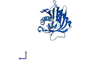 AlphaFold protein structure predicition of Human Recombinant STARD6 Protein, UniprotID P59095