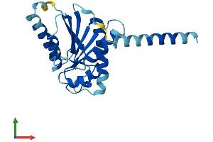 AlphaFold protein structure predicition of Human Recombinant ALG14 Protein, UniprotID Q96F25